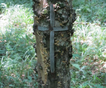 TESTOVANIE COVID-19