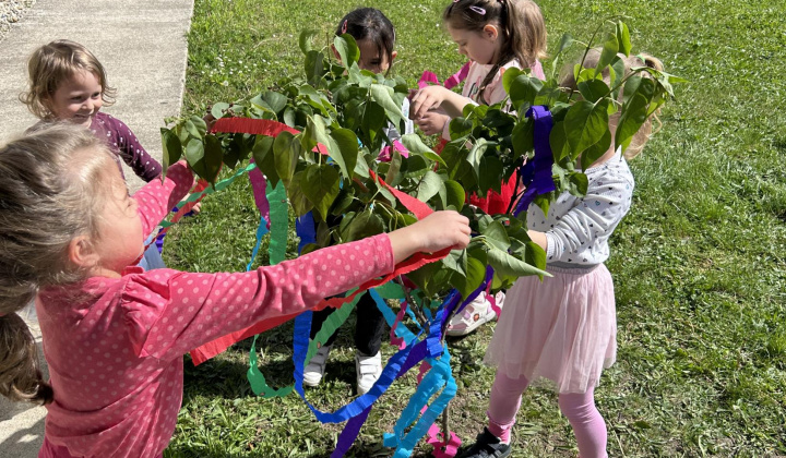 Zobraziť fotografiu