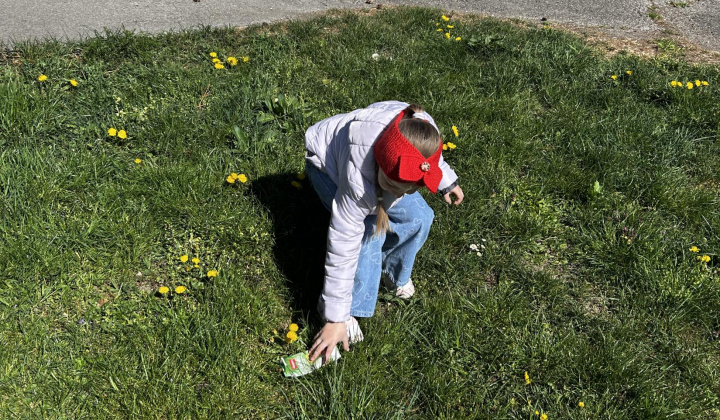 Zobraziť fotografiu