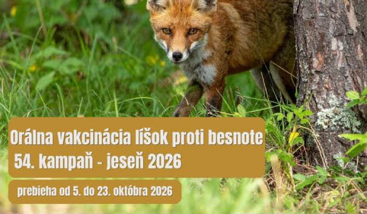 Fotka - Orálna vakcinácia líšok proti besnota - jesenná kampaň 2026