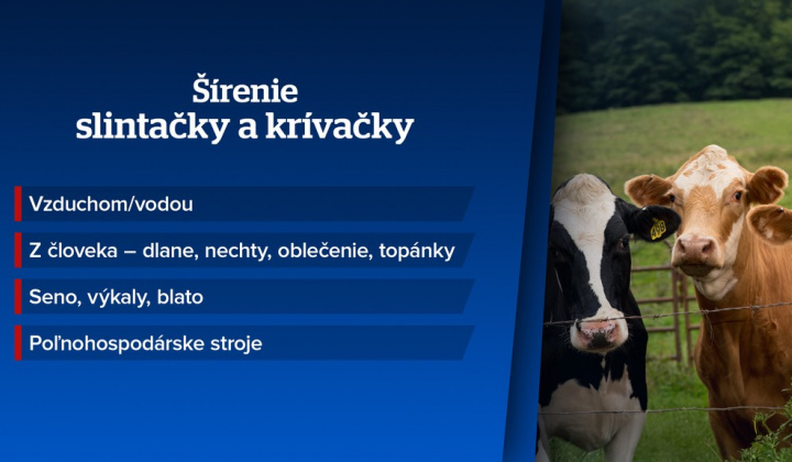 Fotka - Slintačka a krívačka - mimoriadne núdzové opatrenia